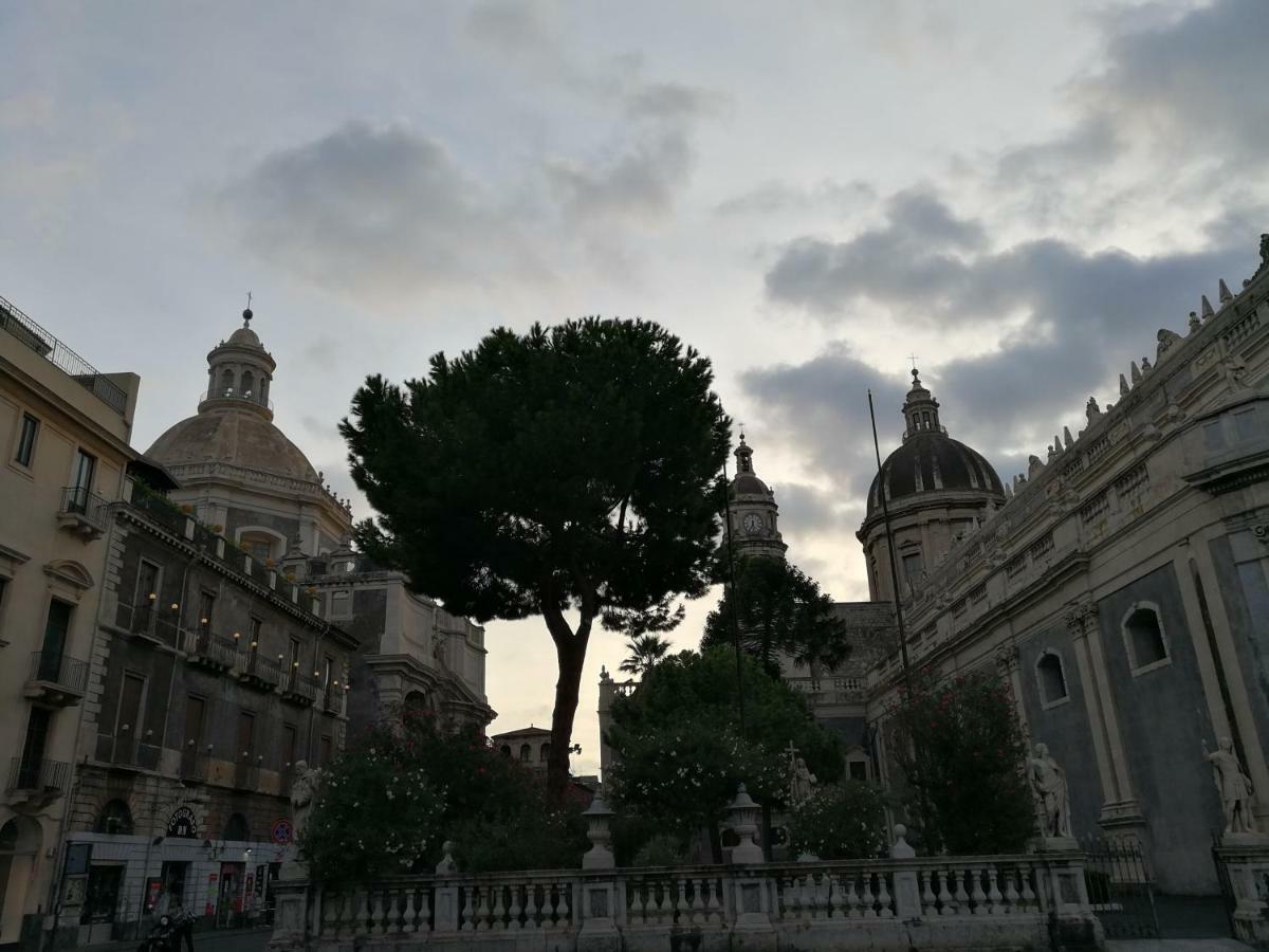 La Mansarda Di Ninni 卡塔尼亚 外观 照片
